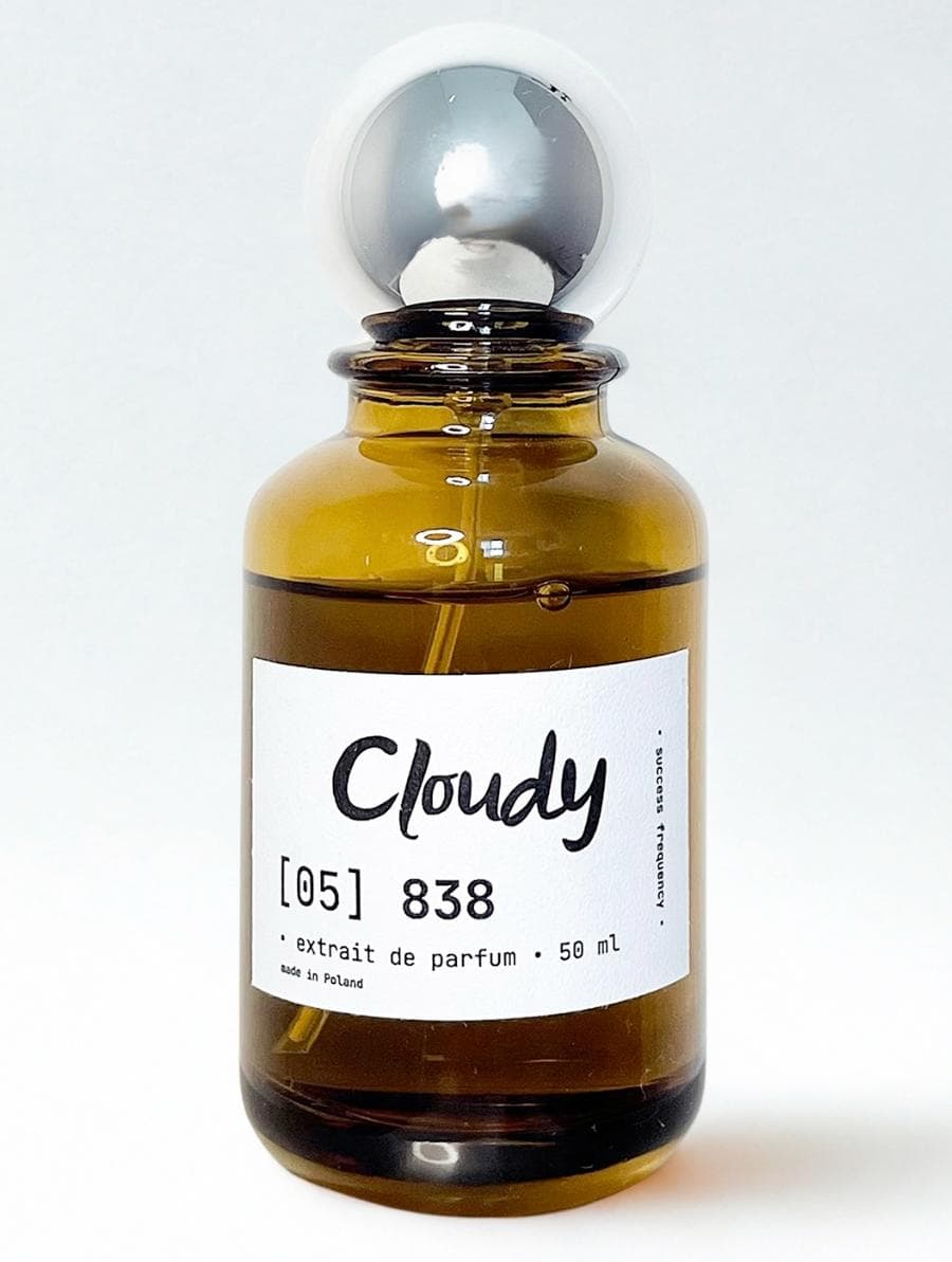 [05] 838