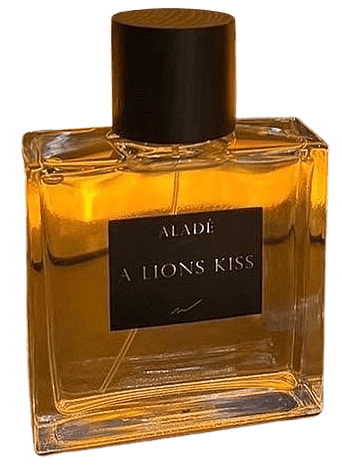A Lions Kiss