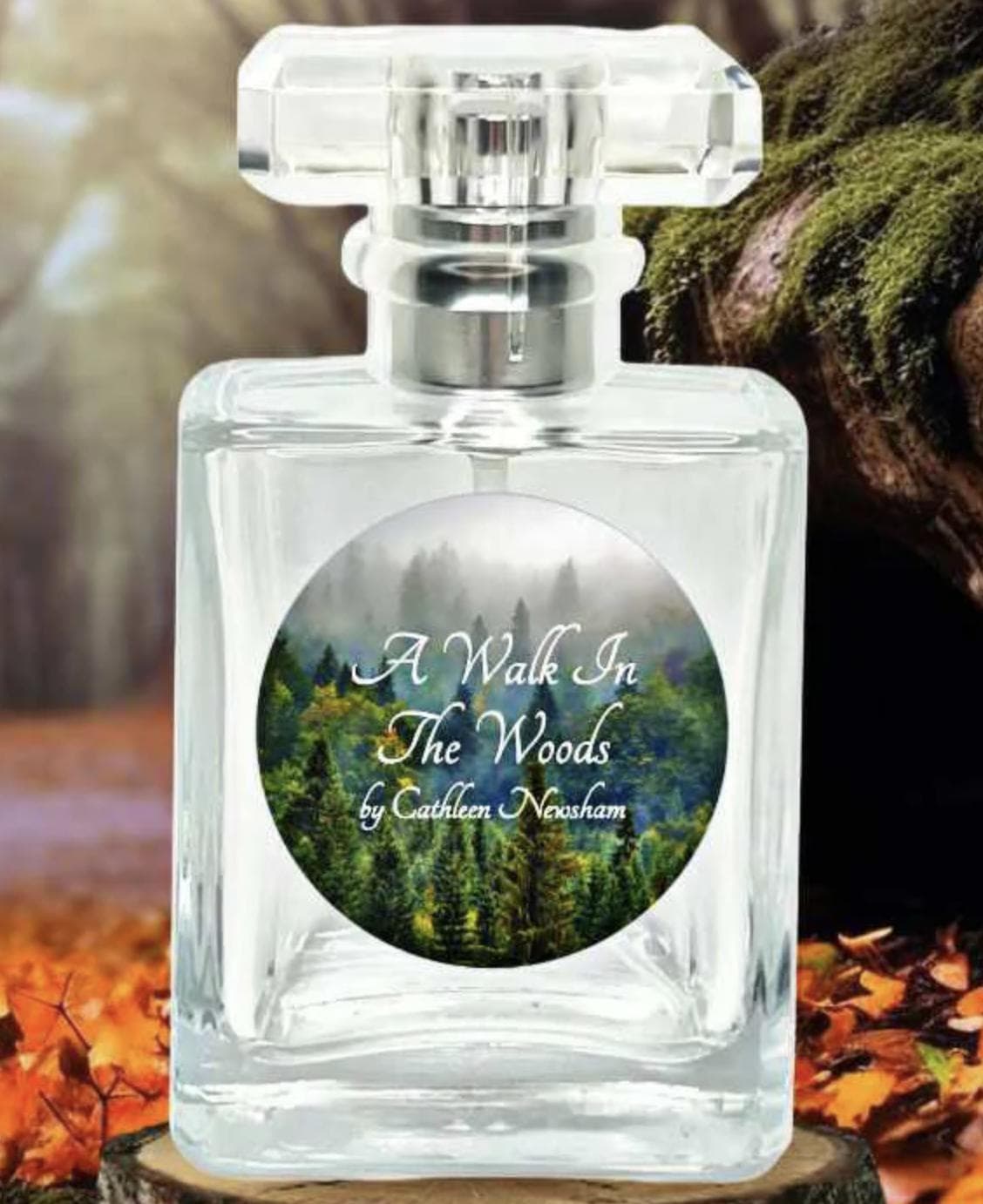 A Walk In The Woods