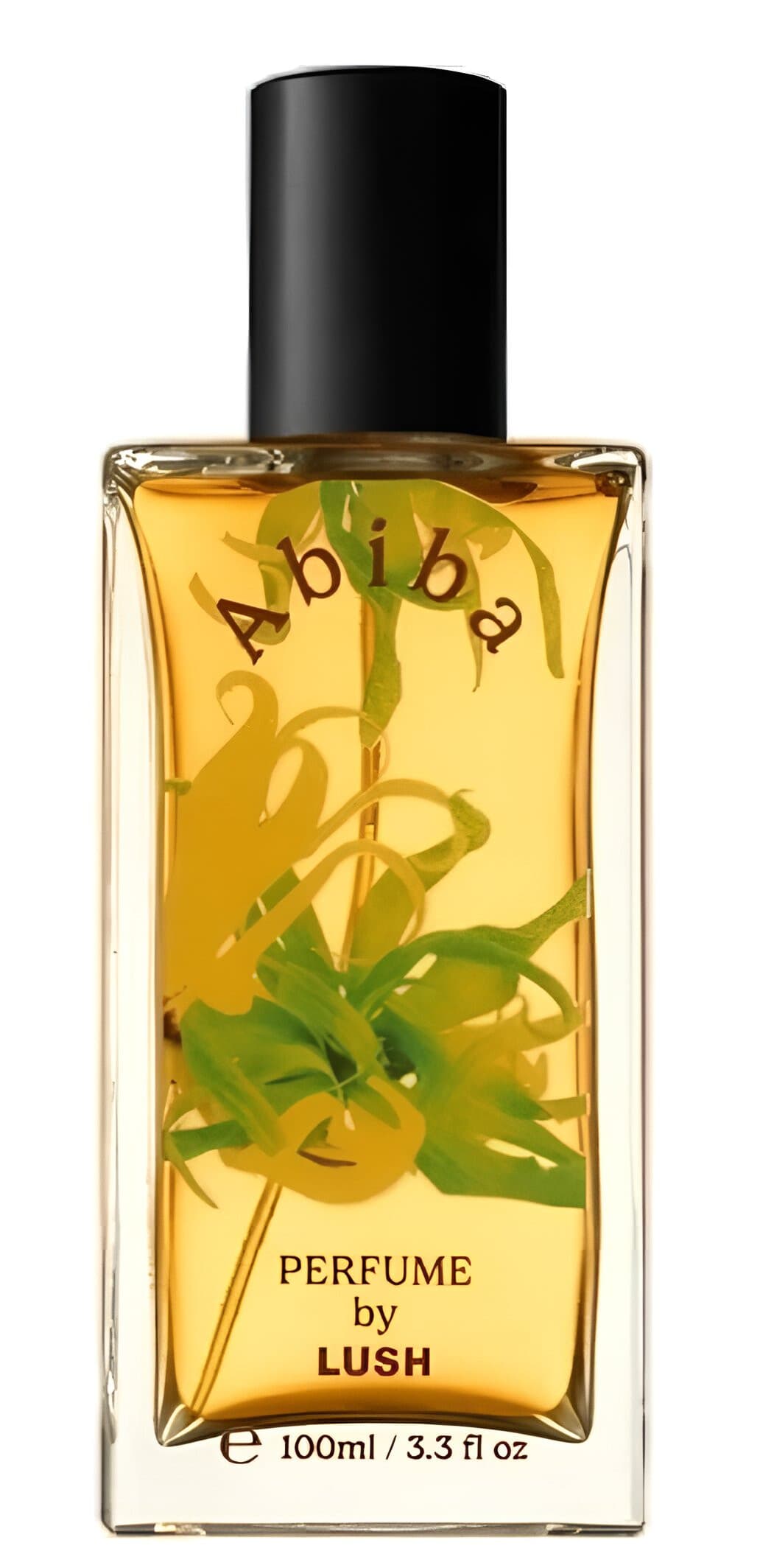 Abiba