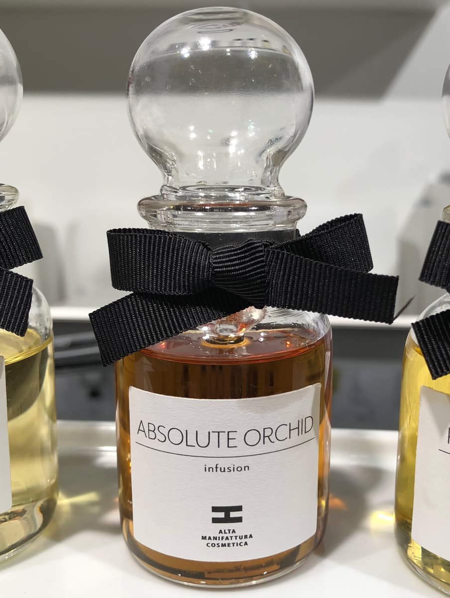 Absolute Orchid