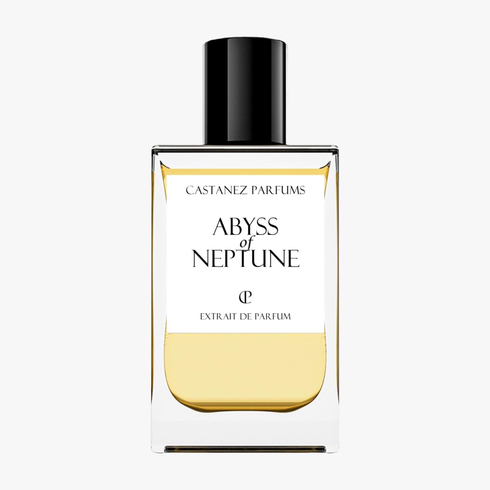 Abyss of Neptune