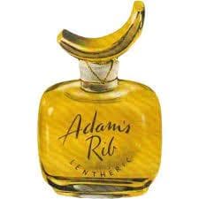 Adam's Rib