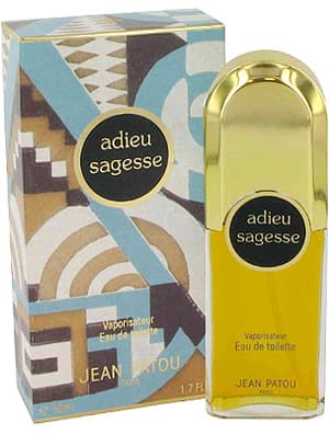 Adieu Sagesse