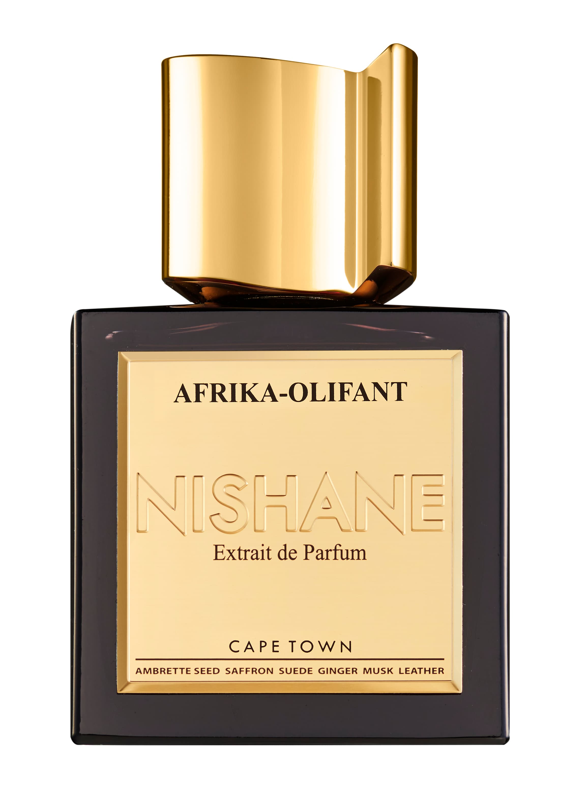 Afrika Olifant