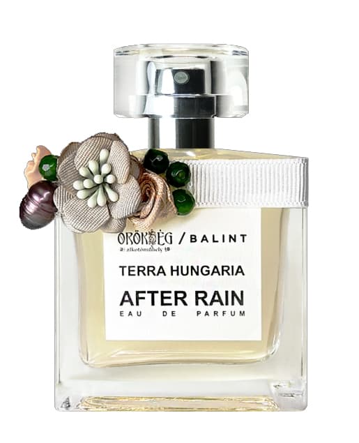 After Rain