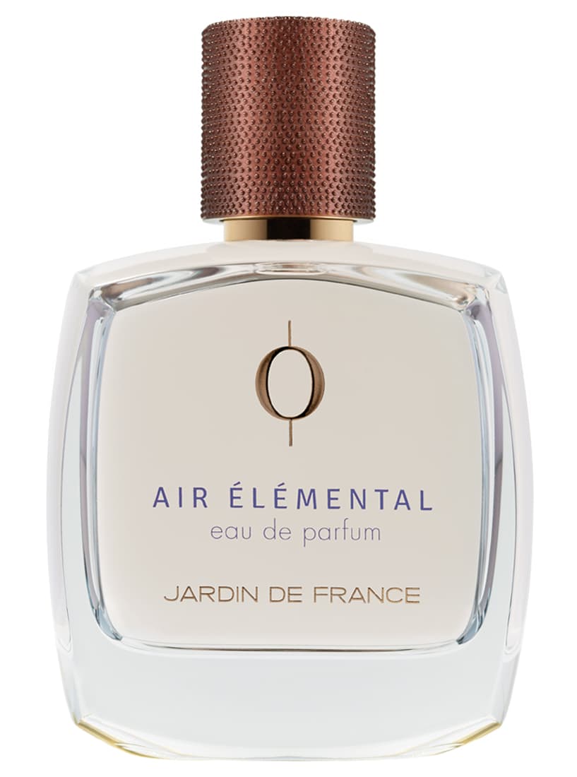Air Elemental