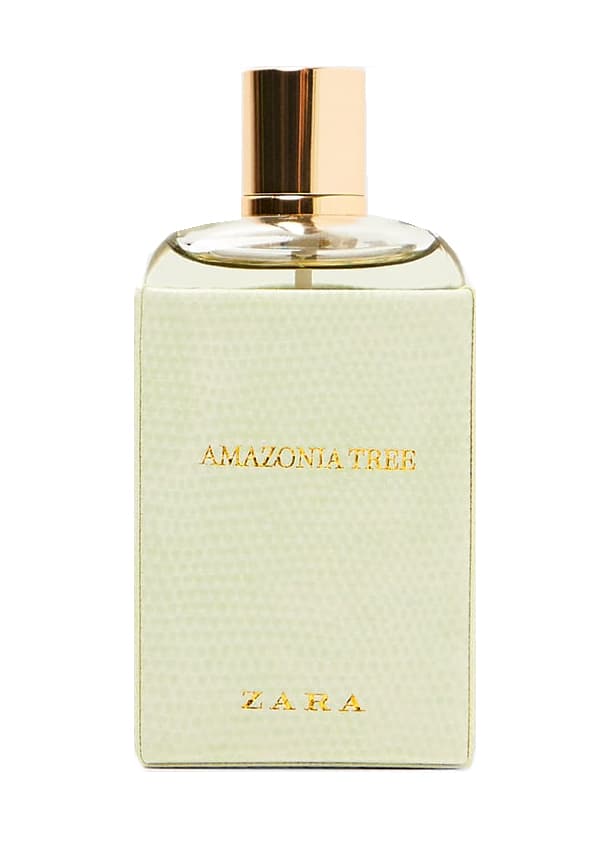 Amazonia Tree