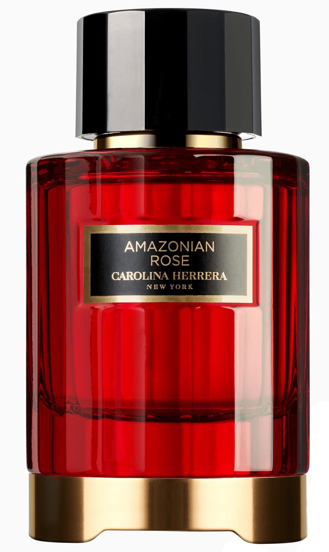 Amazonian Rose