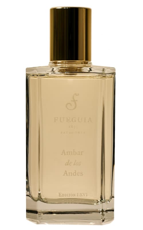 Ambar de los Andes