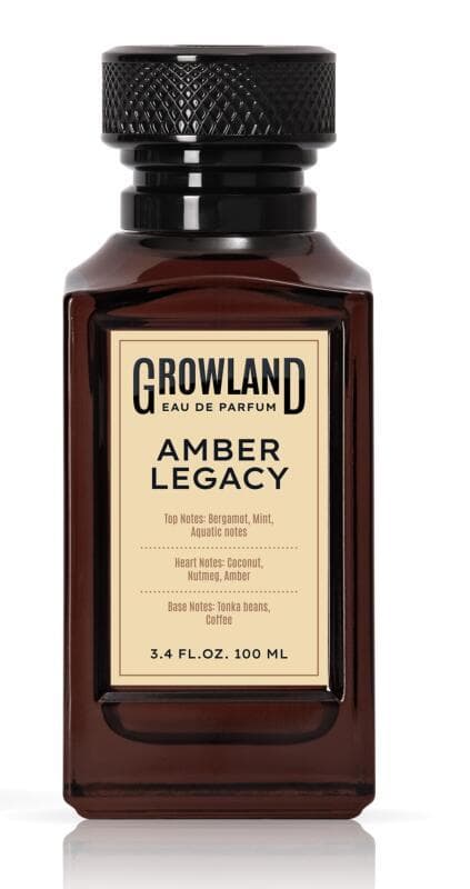 Amber Legacy