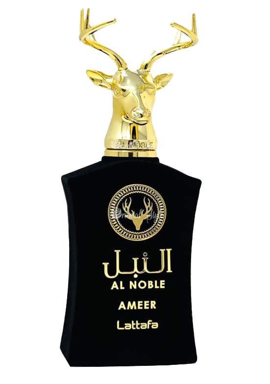 Ameer