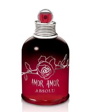 Amor Amor Absolu