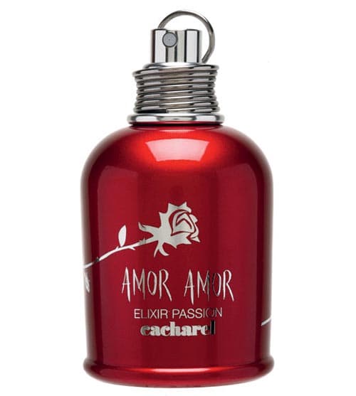 Amor Amor Elixir Passion
