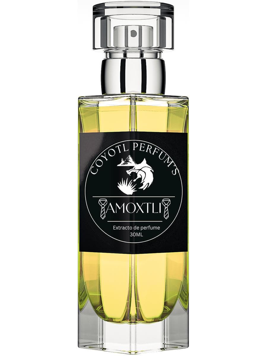 Amoxtli