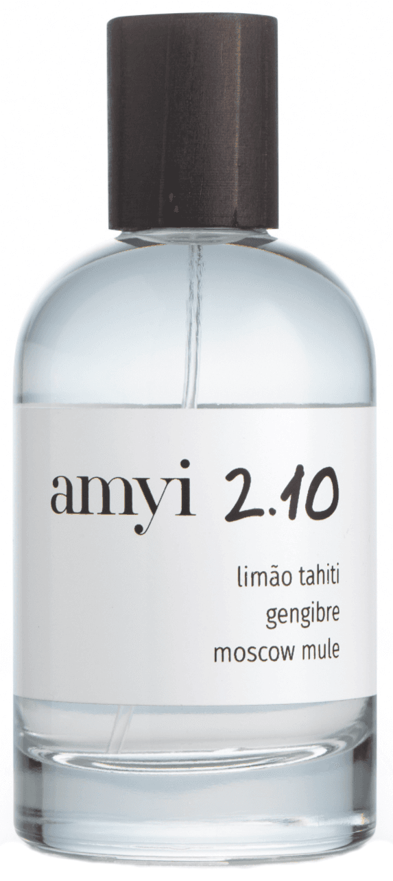 Amyi 2.10