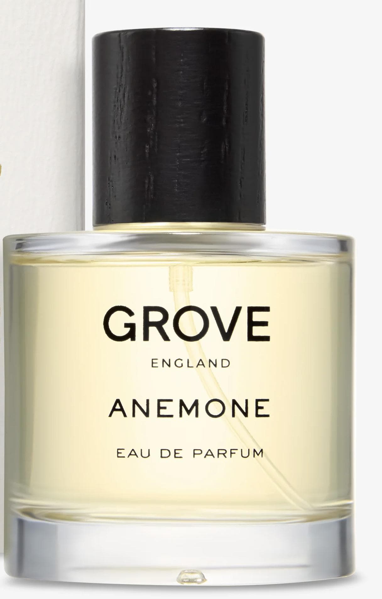 Anemone