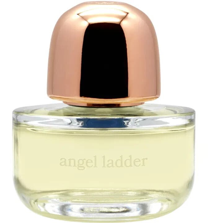Angel Ladder