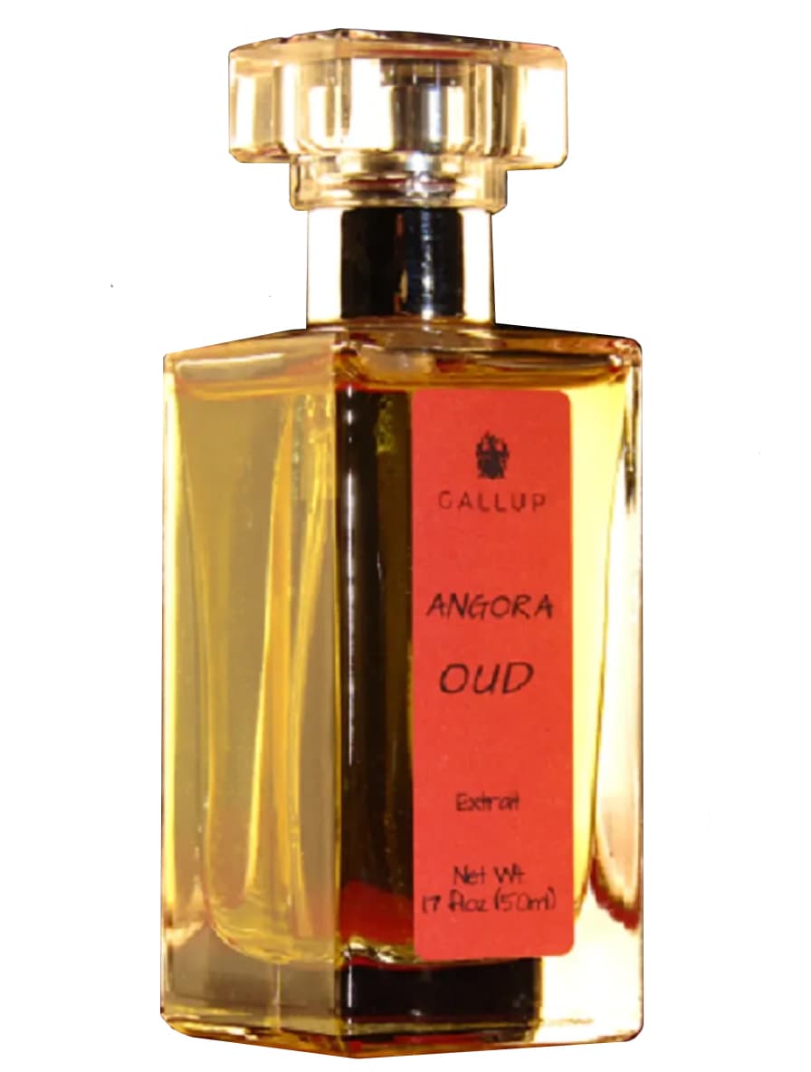 Angora Oud