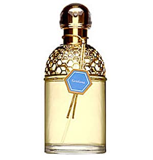 Aqua Allegoria Gentiana
