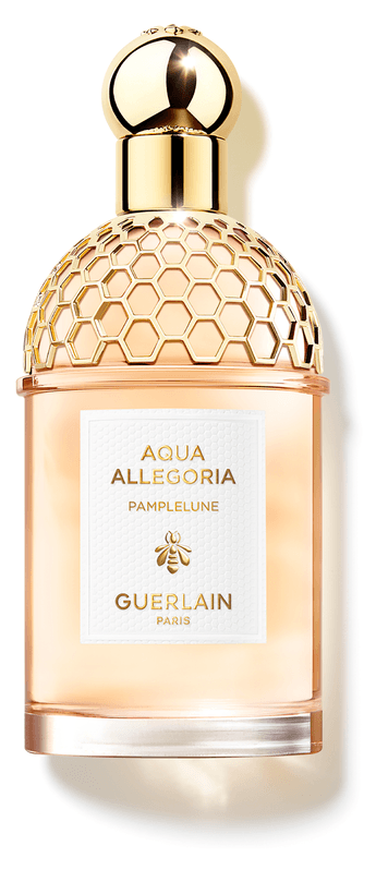 Aqua Allegoria Pamplelune