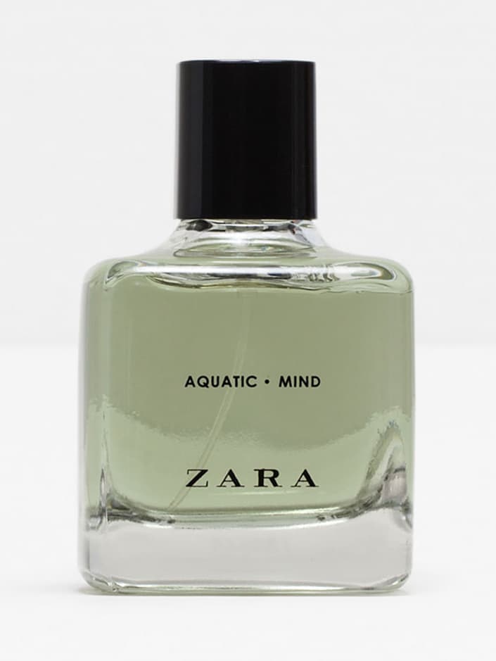 Aquatic Mind