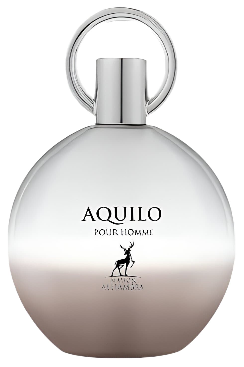 Aquilo