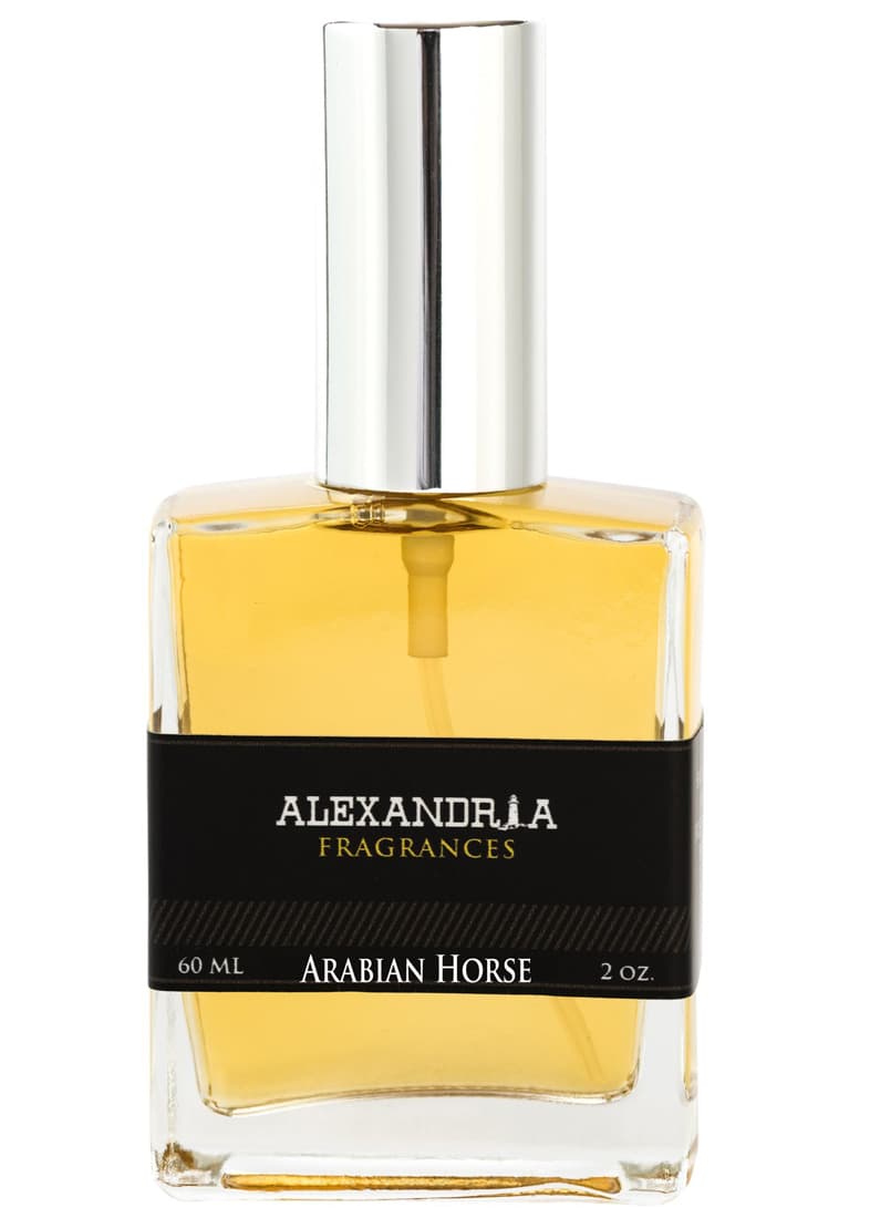 Arabian Horse