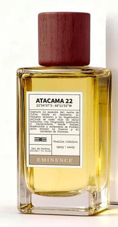 Atacama 22