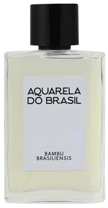 Bambu Brasiliensis