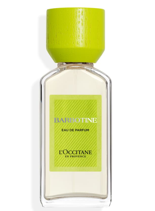 Barbotine