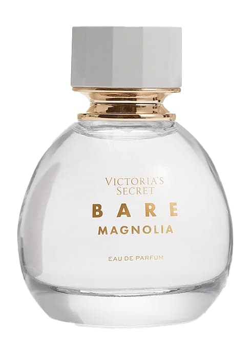 Bare Magnolia