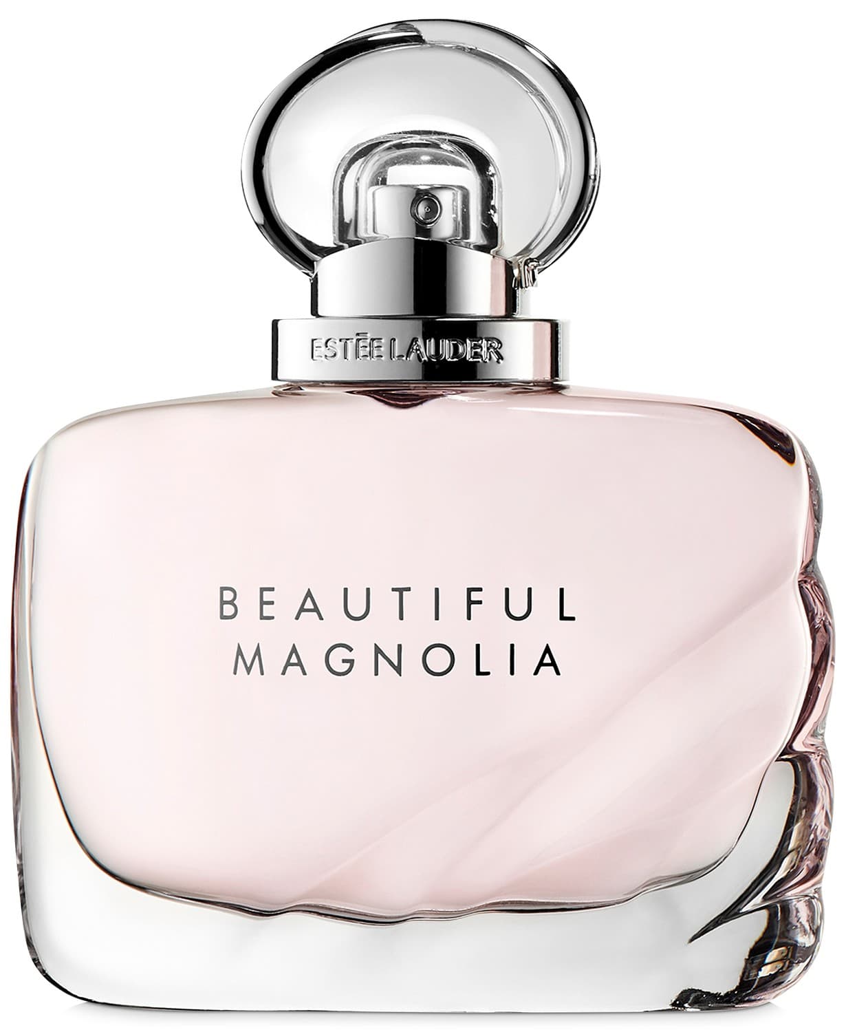 Beautiful Magnolia
