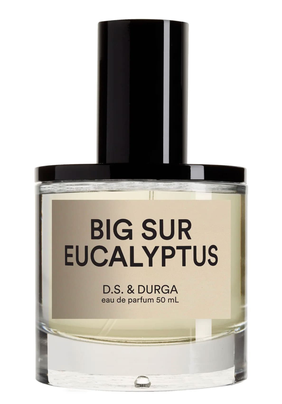 Big Sur Eucalyptus