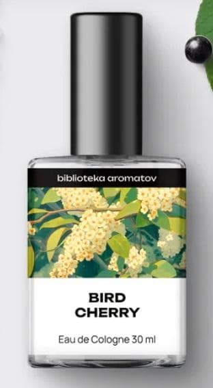 Bird cherry