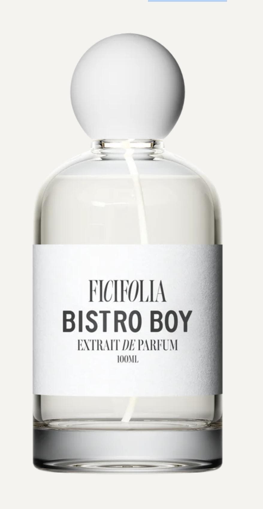 Bistro Boy