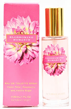 Blossoming Romance