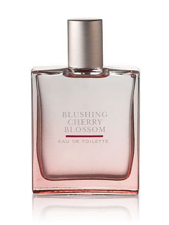 Blushing Cherry Blossom