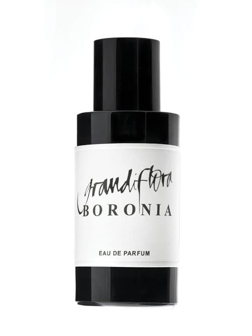 Boronia