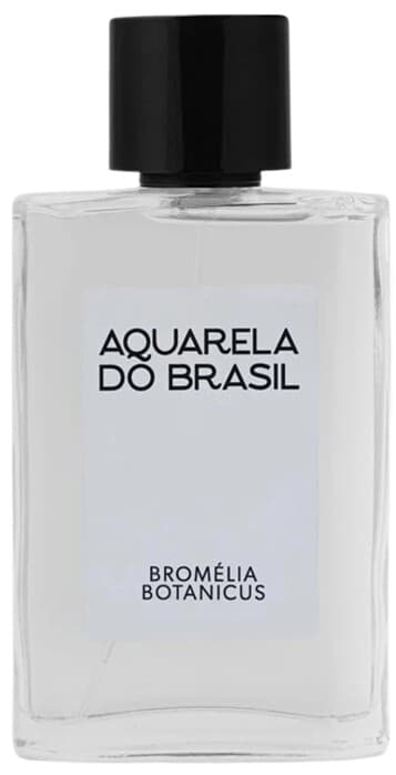 Bromélia Botanicus