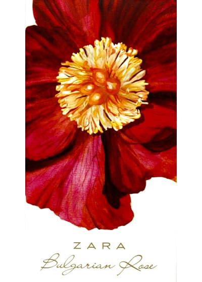 Bulgarian Rose