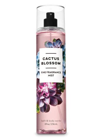 Cactus Blossom