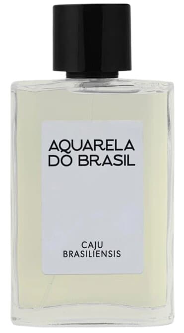 Caju Brasiliensis
