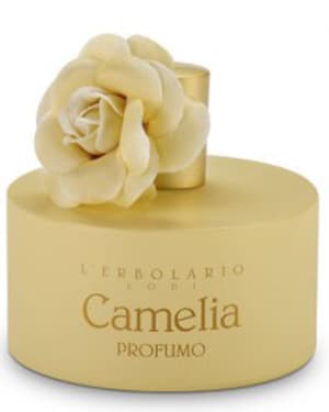 Camelia