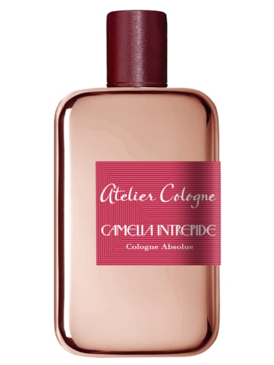 Camelia Intrepide