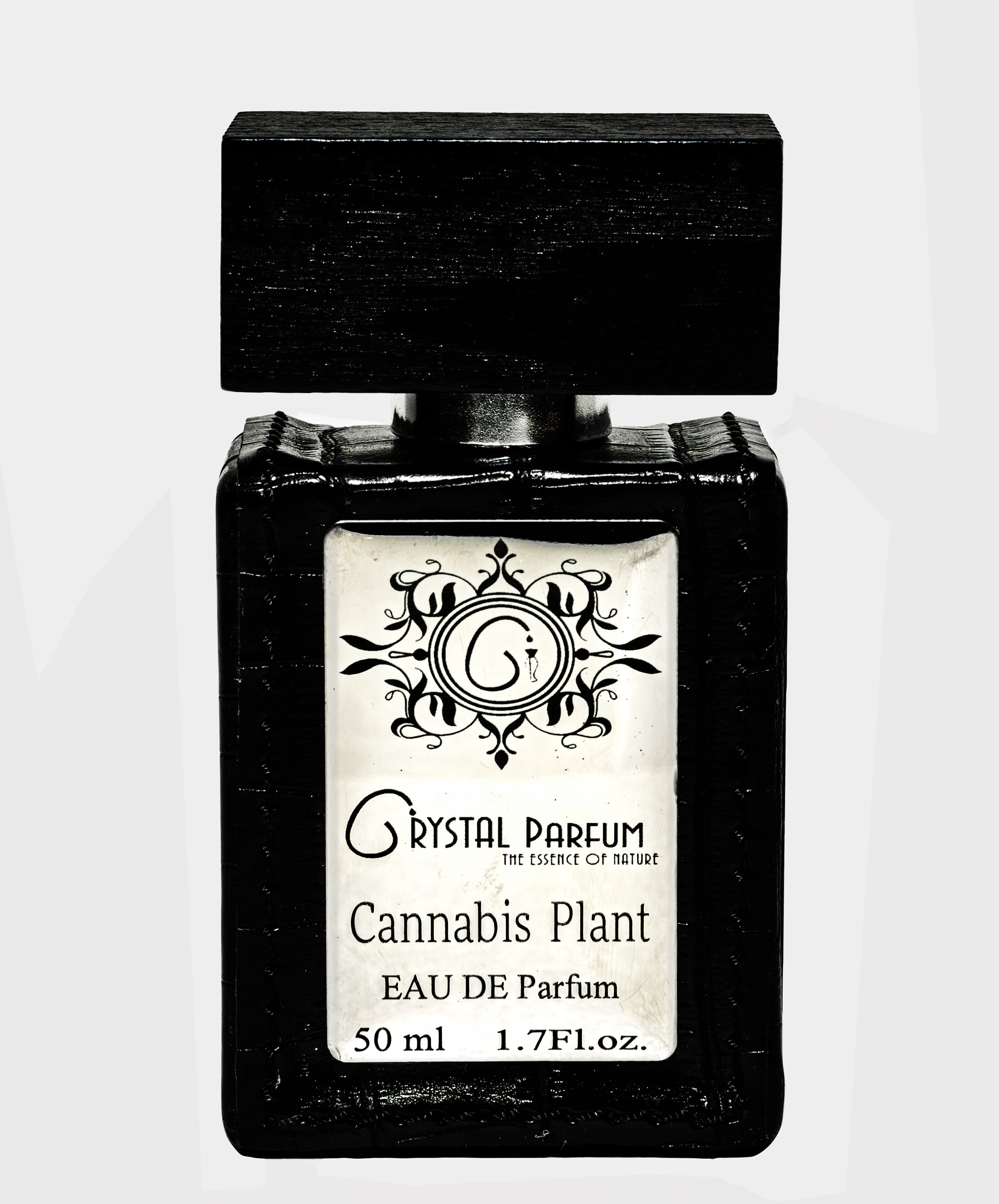 Cannabis Plant