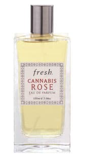 Cannabis Rose