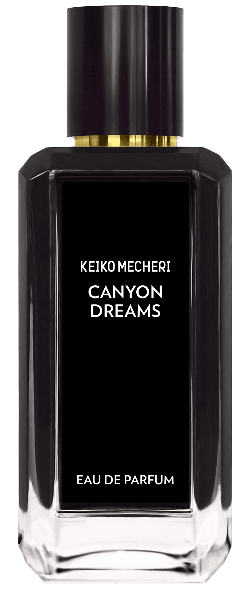 Canyon Dreams