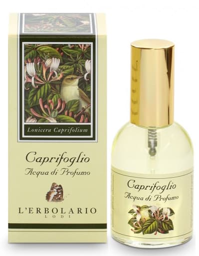 Caprifoglio