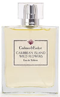 Caribbean Island Wild Flowers